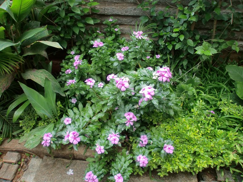 India Trip - July 2010 020.jpg